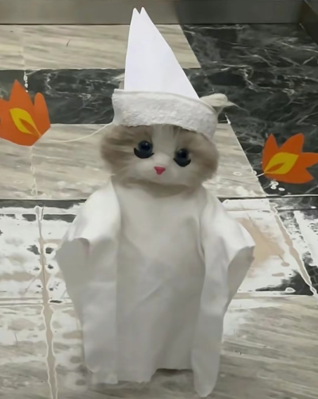 能能兄