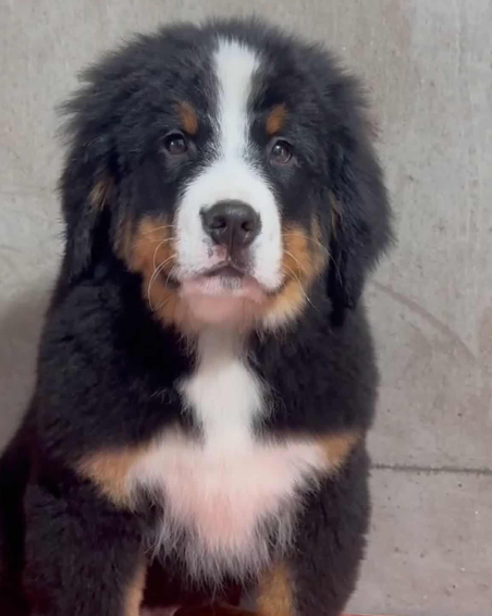 闲人